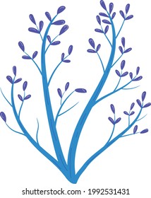 Seaweed vector perfect for under the sea illustration or under water scenery background.