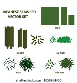 Seaweed vector set. Japanese wakame, nori, hijiku, konbu and ao nori algae food. Vector.