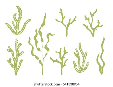 Seaweed Vector Silhouette