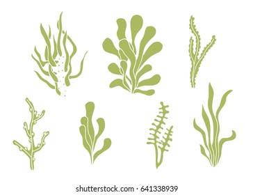 Seaweed Vector Silhouette Set