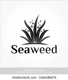 seaweed vector template