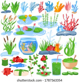 Seaweed water plants, algae vector illustration set. Cartoon flat underwater nature flora collection of sea, ocean or aquarium planting natural marine algae, aquatic kelp, fish coral isolated on white