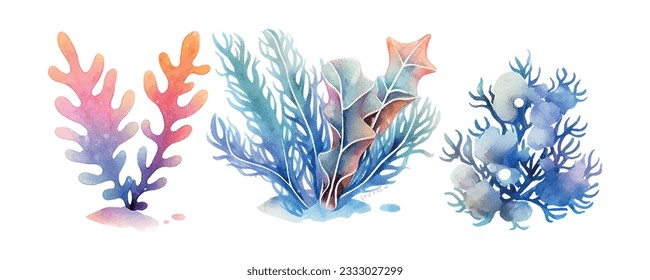 Seaweed watercolor. Vintage botanical illustration. Vector decoration. Hand drawn sketch.