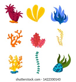 seaweed,cartoon style ,vector ,set isolated on white background