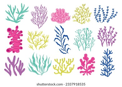 Seaweeds and algae. Cartoon colorful underwater plants, colorful exotic marine botany flora, coral and water plants. Vector isolated set of seaweed water ocean illustration