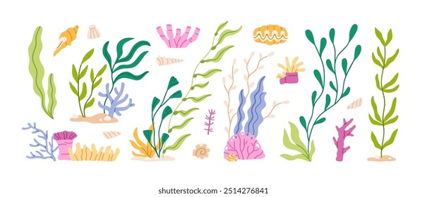 Seaweeds and algae, underwater plants set. Ocean flora, marine corals, undersea water grass, leaf branches. Floral botanical tropical elements. Flat vector illustration isolated on white background