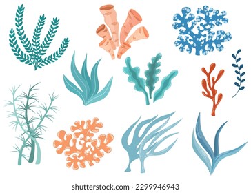 Seaweeds. Aquarium, ocean and undersea algae. Wracks, laminaria, kelp marine tropical water life. Cartoon vector illustration isolated on white background.