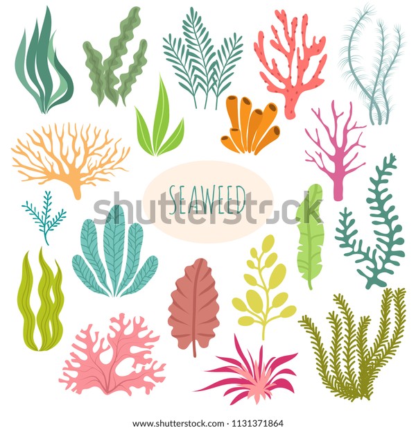 Seaweeds. Aquarium plants, underwater planting.\
Vector seaweed silhouette isolated set. Illustration of aquatic\
plant, nature\
wildlife