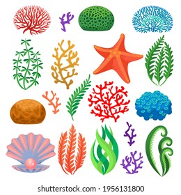 Seaweeds. Cartoon colorful underwater reef corals, plants. Aquarium, ocean and undersea flora, starfish and shell isolated vector set. Tropical sea plant, different natural elements