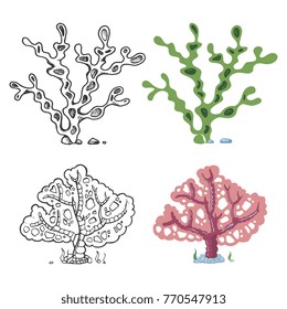 Seaweeds coloring page with bright sample - coral and underwater plant isolated on white background. Vector illustration