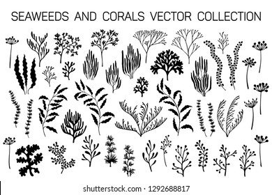 Seaweeds and coral reef underwater plans vector collection. Aquarium, ocean and marine algae water plants, corals isolated on white. Black seaweeds and polyps silhouettes set. Laminaria kelp, staghorn