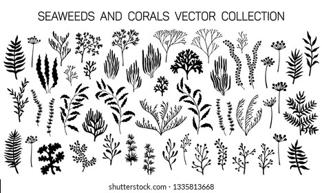 Seaweeds and coral reef underwater plans vector collection. Aquarium, ocean and marine algae water plants, corals isolated on white. Black seaweeds and polyps silhouettes set. Laminaria kelp and other