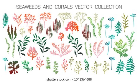 Seaweeds and coral reef underwater plans vector collection. Aquarium, ocean and marine algae water plants, corals isolated. Red green seaweeds and polyps silhouettes set. Laminaria kelp and other