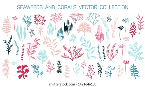 Seaweeds and coral reef underwater plans vector collection. Aquarium, ocean and marine algae water plants, corals isolated on white. Pink blue seaweeds polyps silhouettes set. Laminaria kelp and other