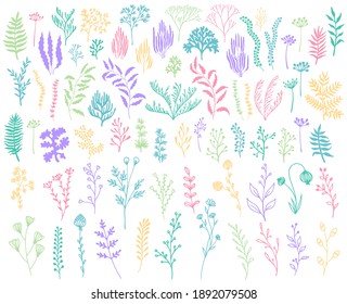 Seaweeds and coral reef underwater plans vector collection. Aquarium, ocean and marine algae water plants, corals isolated on white. Seaweeds polyps silhouettes set. Branches, twigs and flowers.