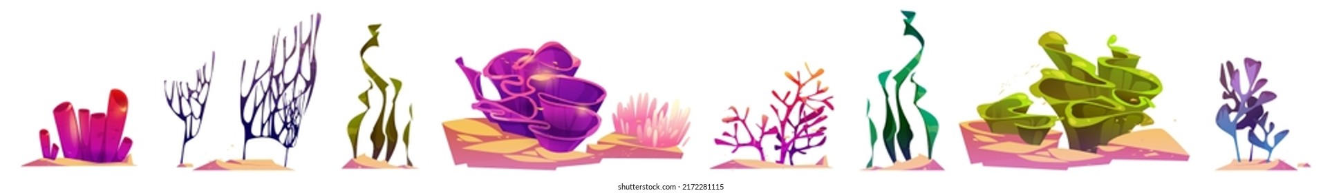 Seaweeds, coral reef underwater plants. Aquarium, ocean and undersea algae water life isolated on white background. Set of sea weeds, wracks, laminaria, kelp marine flora, Cartoon vector illustration