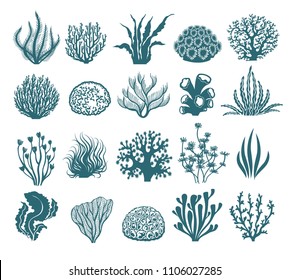 Seaweeds and coral silhouettes. Vector aquarium algae graphic isolated on white background, sea underwater black and white plants