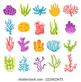 Seaweeds, planting, marine algae and ocean corals set. Underwater plants for aquarium decor isolated on white background. Nature colorful seaweed marine. Vector illustration