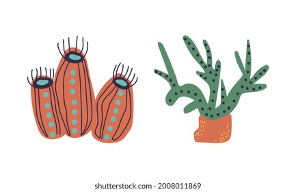 Seaweeds or Plants and Aquatic Marine Algae Growing on the Ocean Bottom Vector Set