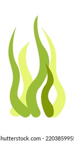Seaweeds Sea Plant. Vector illustration