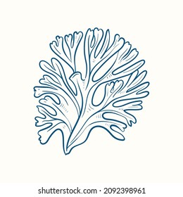 Seaweeds silhouettes. Underwater coral reef, hand drawn sea kelp plant, isolated marine weeds outdoor ocean.