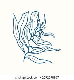 Seaweeds silhouettes. Underwater coral reef, hand drawn sea kelp plant, isolated marine weeds outdoor ocean.