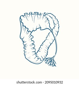 Seaweeds silhouettes. Underwater coral reef, hand drawn sea kelp plant, isolated marine weeds outdoor ocean.