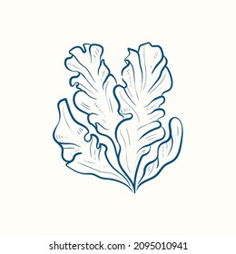 Seaweeds silhouettes. Underwater coral reef, hand drawn sea kelp plant, isolated marine weeds outdoor ocean.