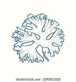 Seaweeds silhouettes. Underwater coral reef, hand drawn sea kelp plant, isolated marine weeds outdoor ocean.