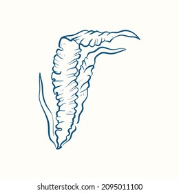 Seaweeds silhouettes. Underwater coral reef, hand drawn sea kelp plant, isolated marine weeds outdoor ocean.