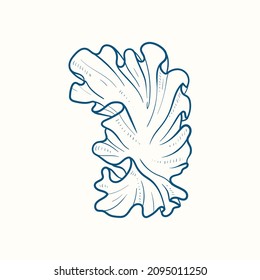 Seaweeds silhouettes. Underwater coral reef, hand drawn sea kelp plant, isolated marine weeds outdoor ocean.