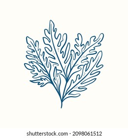 Seaweeds silhouettes. Underwater coral reef, hand drawn sea kelp plant, isolated marine weeds outdoor ocean.