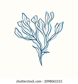 Seaweeds silhouettes. Underwater coral reef, hand drawn sea kelp plant, isolated marine weeds outdoor ocean.