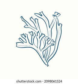 Seaweeds silhouettes. Underwater coral reef, hand drawn sea kelp plant, isolated marine weeds outdoor ocean.