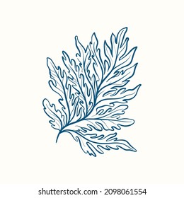 Seaweeds silhouettes. Underwater coral reef, hand drawn sea kelp plant, isolated marine weeds outdoor ocean.