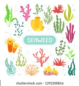 Seaweeds. Vector illustration of seaweeds, planting, marine algae and ocean corals silhouettes. Underwater plants for aquarium decor. Isolated set on white background. Nature seaweed marine.