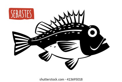 Sebastes, vector illustration, cartoon style