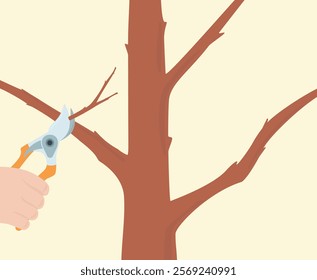 Secateurs is cutting off a tree branch