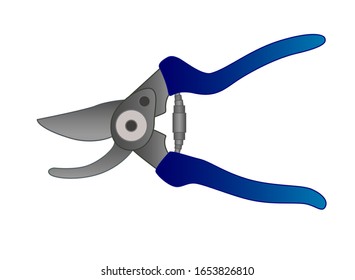 Secateurs - a tool for working in the garden - vector full color picture. Garden shears for cutting plants. A metal tool with blue plastic handles - scissors.