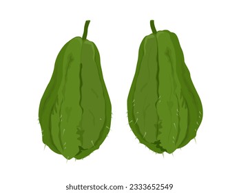 Sechium edule on white background.