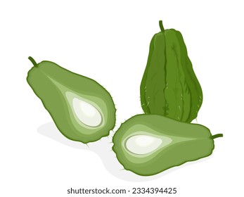 Sechium edule on white background.