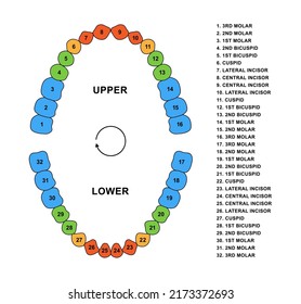 4,632 Molar silhouette Images, Stock Photos & Vectors | Shutterstock