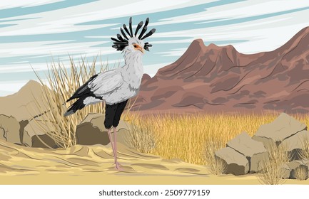 Ein Sekretariatsvogel steht auf dem Sand in einer trockenen afrikanischen Savanne am Fuße der Berge. Wildvögel in Afrika. Realistische Vektorlandschaft