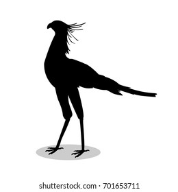 Secretary bird black silhouette animal. Vector Illustrator.