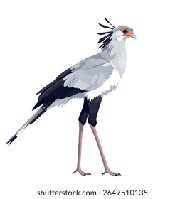 Pássaro secretário em visão lateral do corpo inteiro - ilustração vetorial em branco, ilustração vetorial 2D