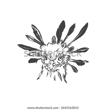 secretary bird head without background