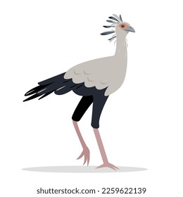 Secretary bird icon. African secretatybird animal isolated on white background. Flat or cartoon vector illustration.