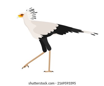 Secretary bird isolated on a white background. Flat vector illustration