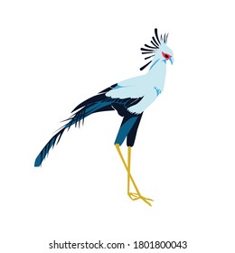 Secretarybird or sagittarius serpentarius exotic bird. Beautiful african bird with black and white plumage cartoon vector illustration isolated on white background