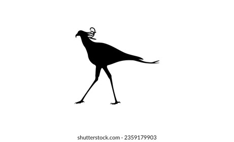 Secretarybird silhouette, high quality vector